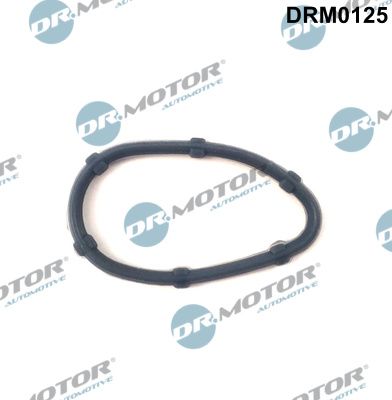 DR.MOTOR AUTOMOTIVE Tiiviste, kampikammion tuuletus DRM0125